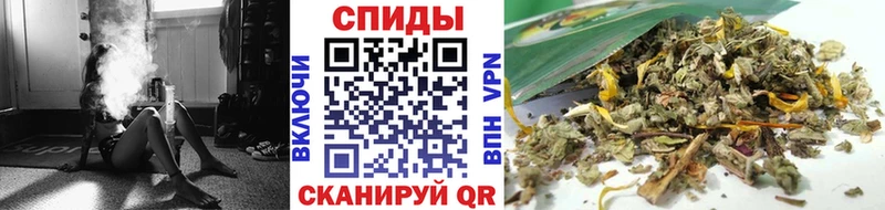 Бутират буратино  Грайворон 