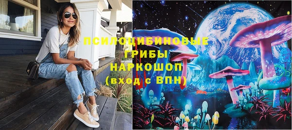 индика Алексин