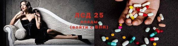 индика Алексин