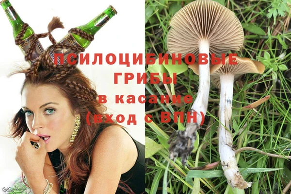 индика Алексин
