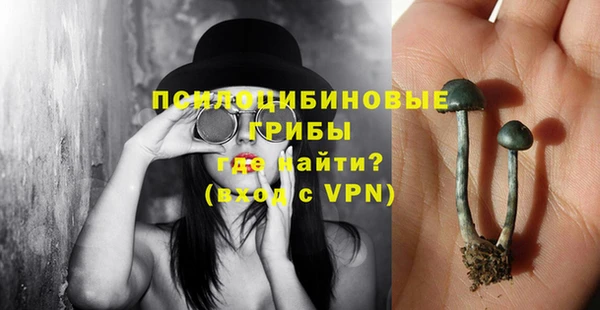 ПСИЛОЦИБИНОВЫЕ ГРИБЫ Абинск
