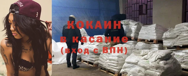 индика Алексин