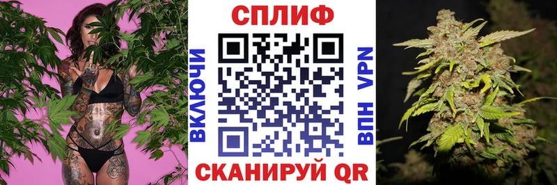 hydra вход  Грайворон  Бошки Шишки сатива 